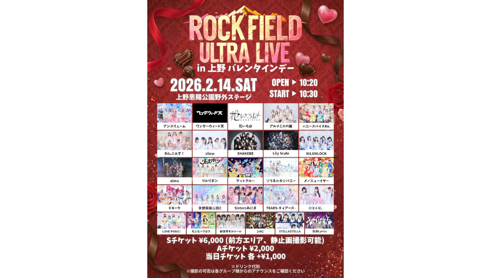 アンスリューム/ワンダーウィード天/花いろは/その他