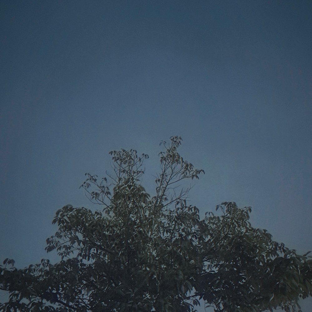 When-the-rain-stops_JKT_forNews.jpg