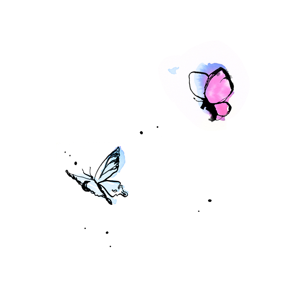 iri buttefly
