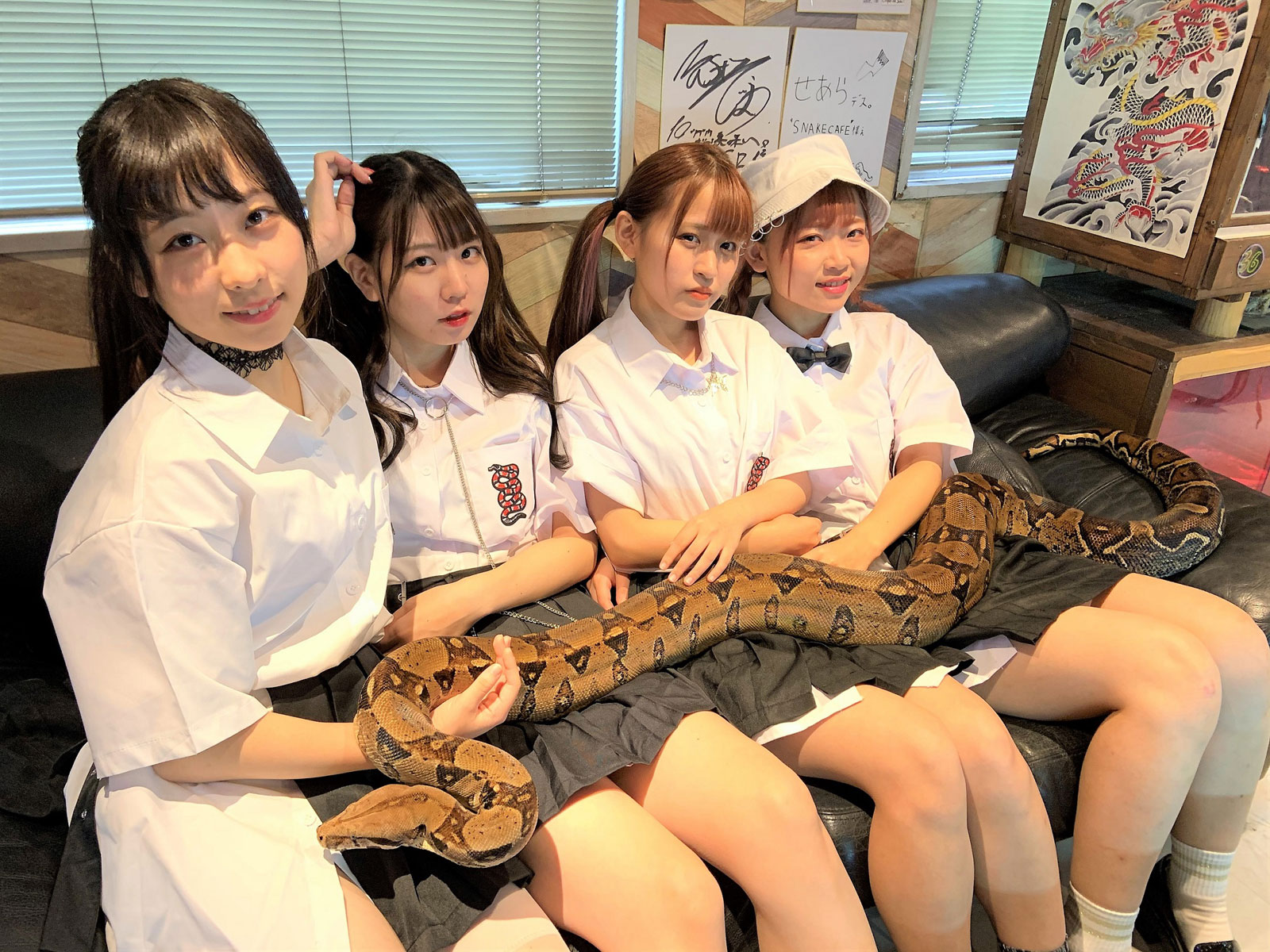 イメージ１
